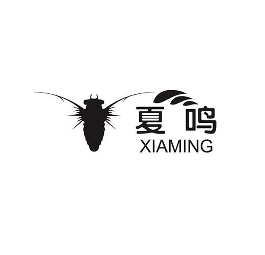 爱企查平台解析 工商信息查询与企业信用公示的数字化实践